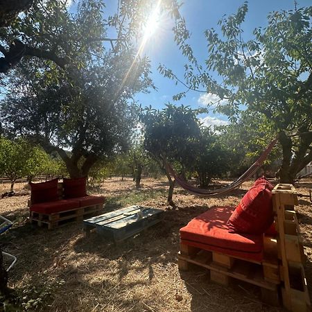 מונופולי B&B Villa Tiziana מראה חיצוני תמונה
