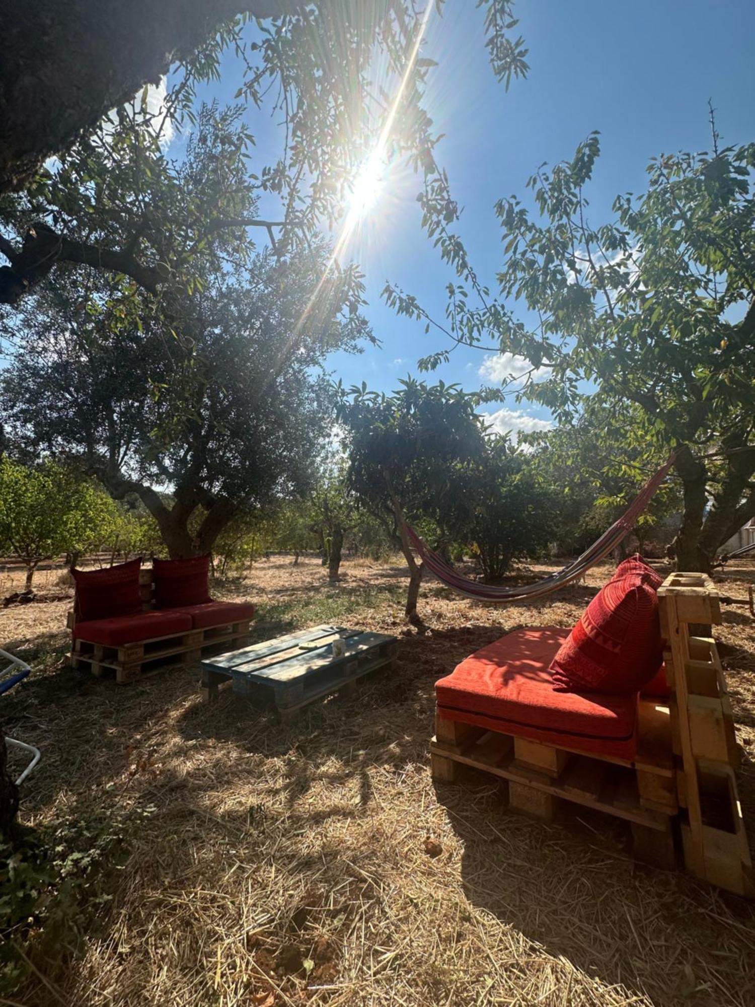 מונופולי B&B Villa Tiziana מראה חיצוני תמונה